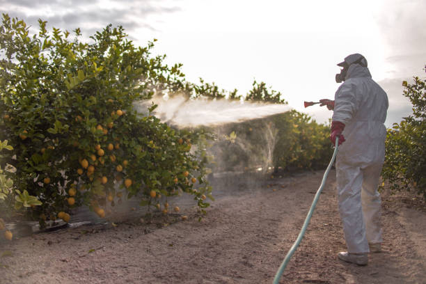 Wildlife Control Services in Chain Lake, WA