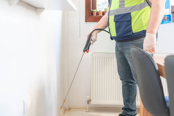 Best Bed Bug Extermination  in Chain Lake, WA