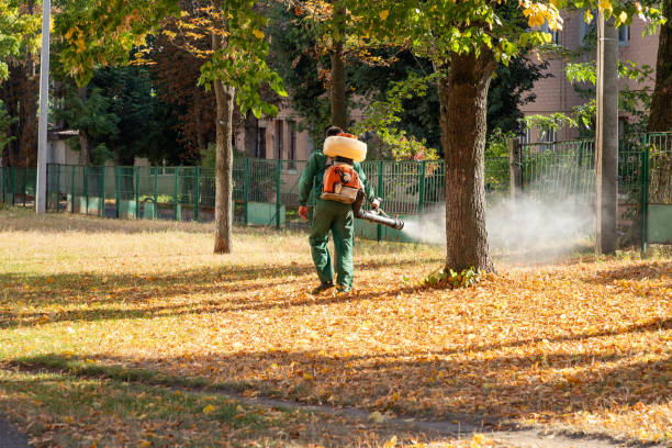 Best Best Pest Control Companies  in Chain Lake, WA